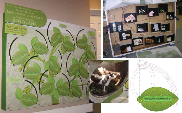 environmental graphics soybean exhibit